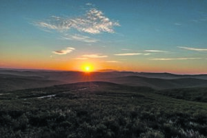 10 years of Renosterveld conservation