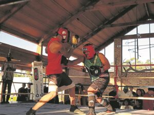 Vryheid in kryt gevier