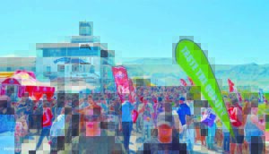 Celebrate ocean’s gentle giants