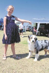 Al blaffende in Kleinmond