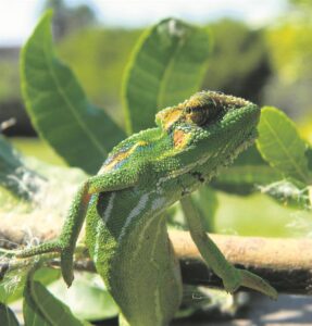 Make these four days count