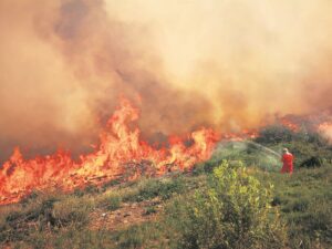 Overberg firefighters ready to combat fires this season