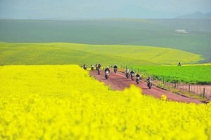 Inskrywings vir Canola Run nou oop