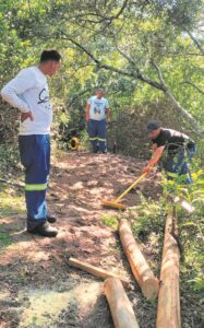 Protecting wetlands is vital