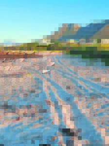 Onwettige ‘spook’-spore?