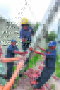 Brandweer van die Overstrand help om voël te red