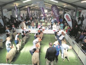 Liefde vir landbou begin vroeg by Nampo Kaap