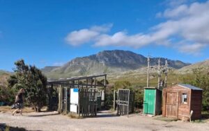 Proper way to dispose of waste