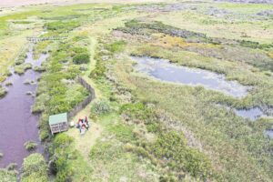 Protecting endangered fynbos fish species