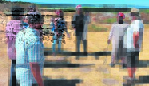 Grondgrypers gestuit