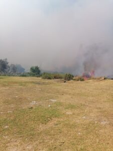Fires in the Overberg out of control