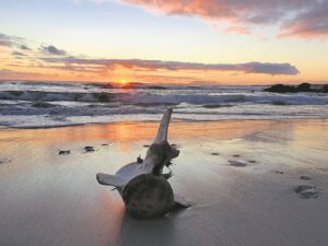 Family fun at Flames and Frames fundraiser