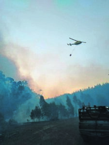 Many ignitings deemed malicious