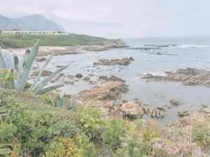 Poole’s Bay Residents’ Association delivered a Notice of Motion against the Cliff Path Action Group