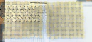 Drugs worth R20k confiscated, two arrested