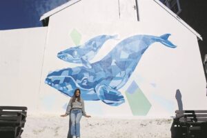 Hermanus-Kalfiefees pronk met nuwe kenteken