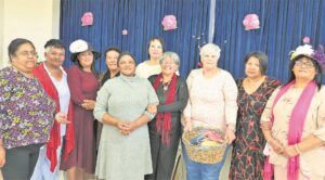 Disa-dienssentrum vul subsidie met teeparty aan