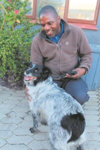 Layla, die hond van Haws wat al vir ‘n maand gesoek is, gevind
