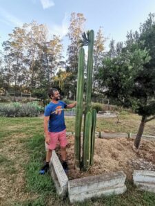 Cactus flowers for the first time in ten years