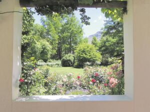 Smell the roses . . .