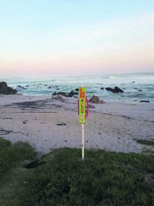 Be safe near and in water