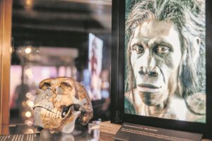 Exhibit highlights Southern Cape coastline’s archaeological heritage, rich marine environment