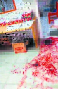 Chaos by skool in Bredasdorp