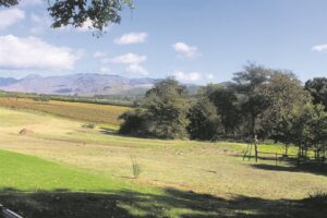 Dié vallei die moeite werd