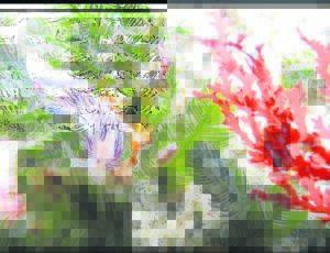 Time for Great Southern Bioblitz