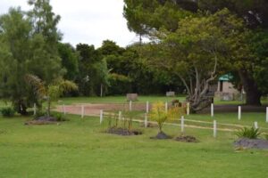 Paradise Park-gesinne wag reeds jare