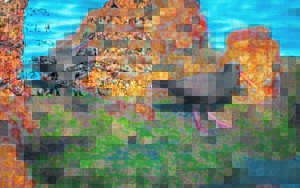 Bird watching couple track oystercatcher family