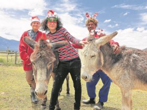 kop hier en hier en hier