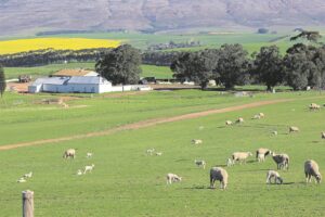 Mining issue provokes ire