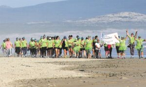 L2L walkers do it again