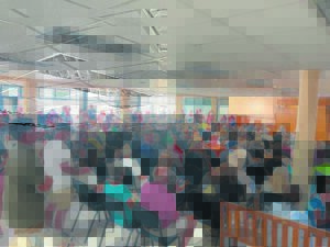 Plan om die gewilde HCM te red