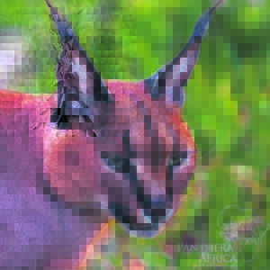 Farewell to Max. . .