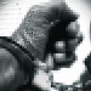 Vermeende rowers gevang