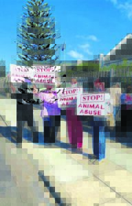 Hector-the-dog case postponed