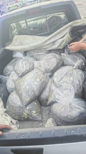 Rapid Response nets suspected poacher