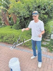 Daar is ’n slang in die gras