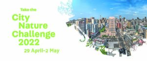 Join Bioblitz City Nature Challenge 2022