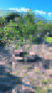 Sprucing up the Meent Street playground