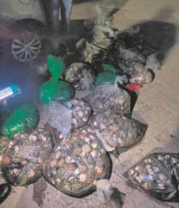 ‘Poachers’ arrested, more than 4000 abalone seized