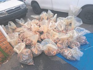 Man nabbed on the N2 near Houw Hoek with 12k lobster tails worth more than half a million rand