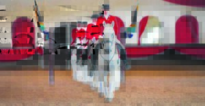 Nampo die jaar op galop met Lipizzaner-vertonings