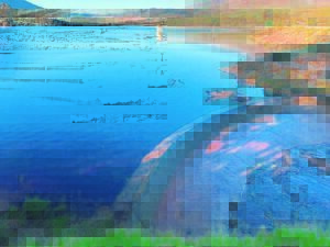 Welkome reën laat watervlakke styg