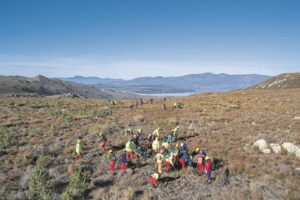 Controlled burn to restore nature