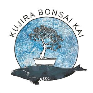 Hermanus kry sy eie bonsaiklub