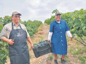 Minister besoek Akkedisberg naby Stanford