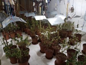 Daggafabriek in Bettysbaai oopgevlek